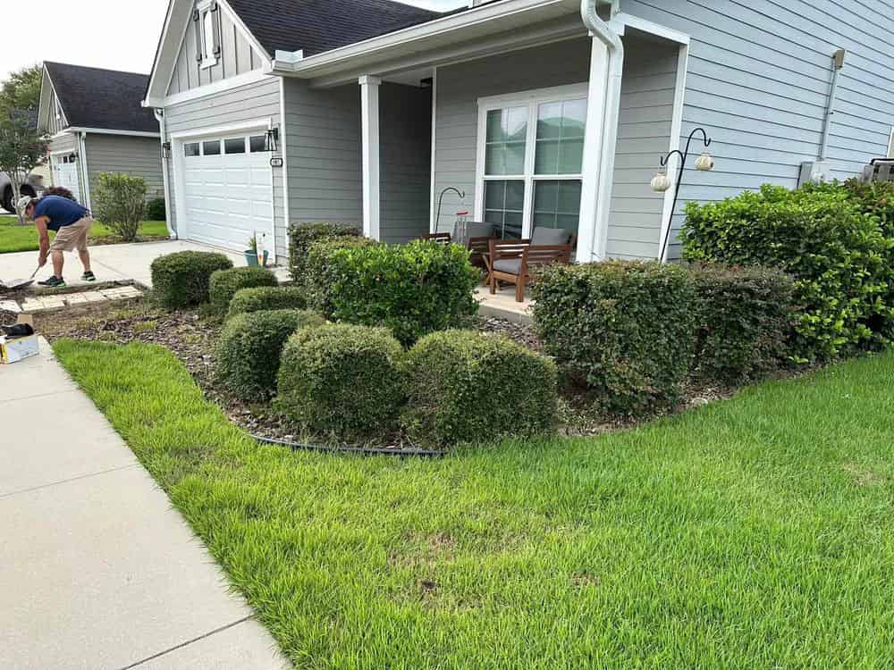 Irrigation Services image