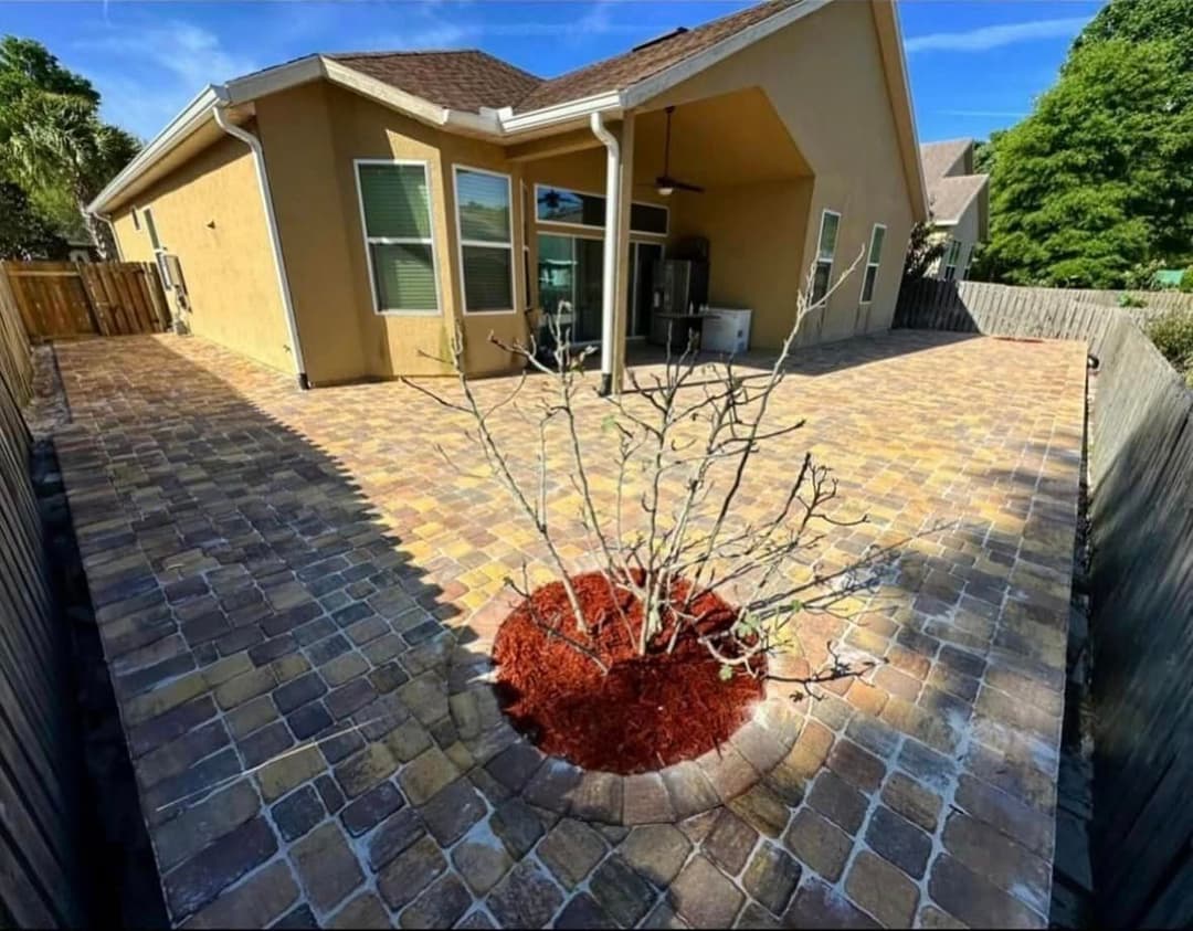 Paved backyard patio with a central mulch area and a small tree, bright blue sky overhead.
