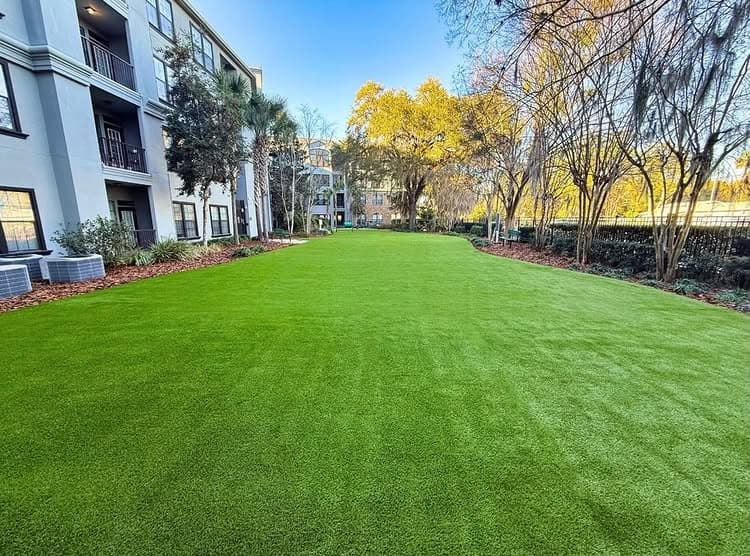 Lush green lawn in a landscaped area near apartments with trees and clear blue sky.