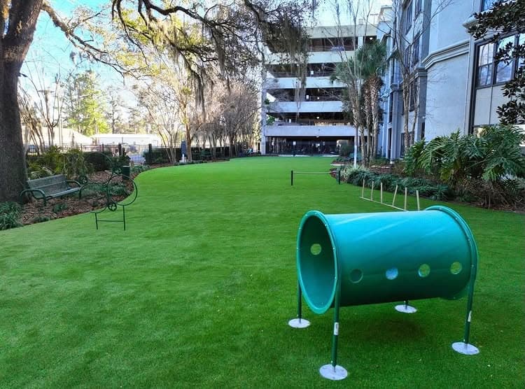 Vibrant green park with a play tunnel and modern buildings in the background.